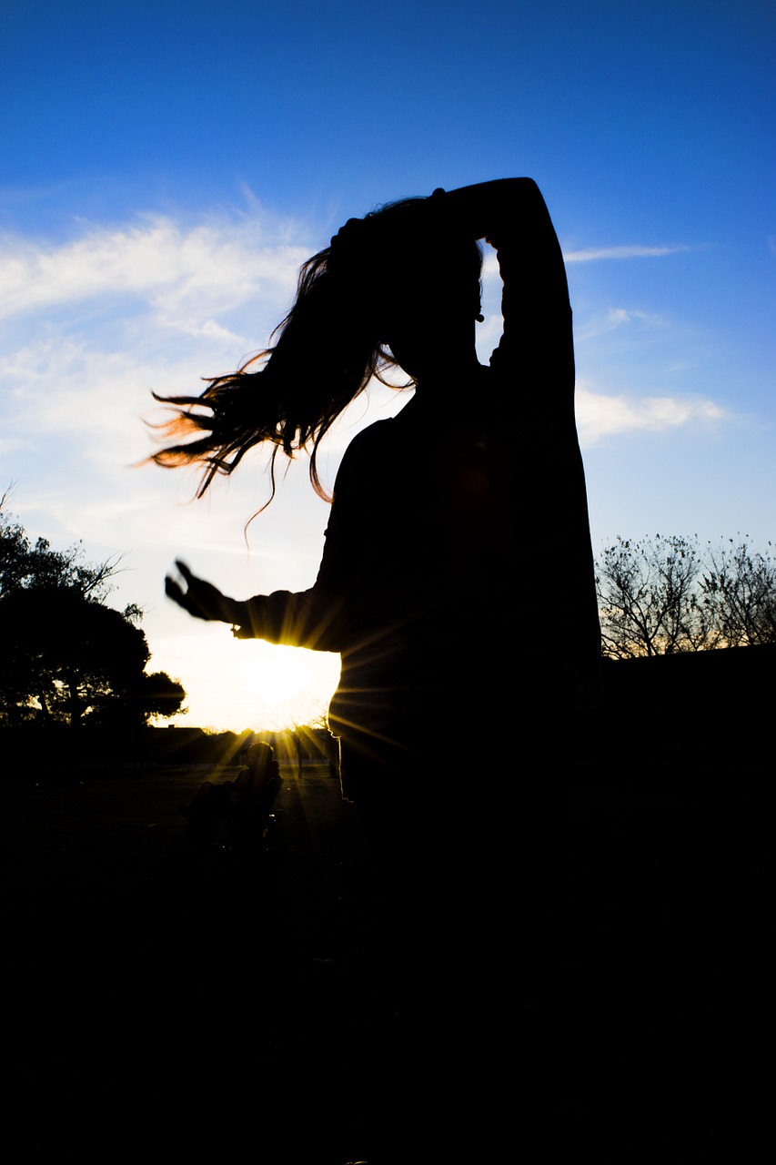 silhouette sky sun free photo