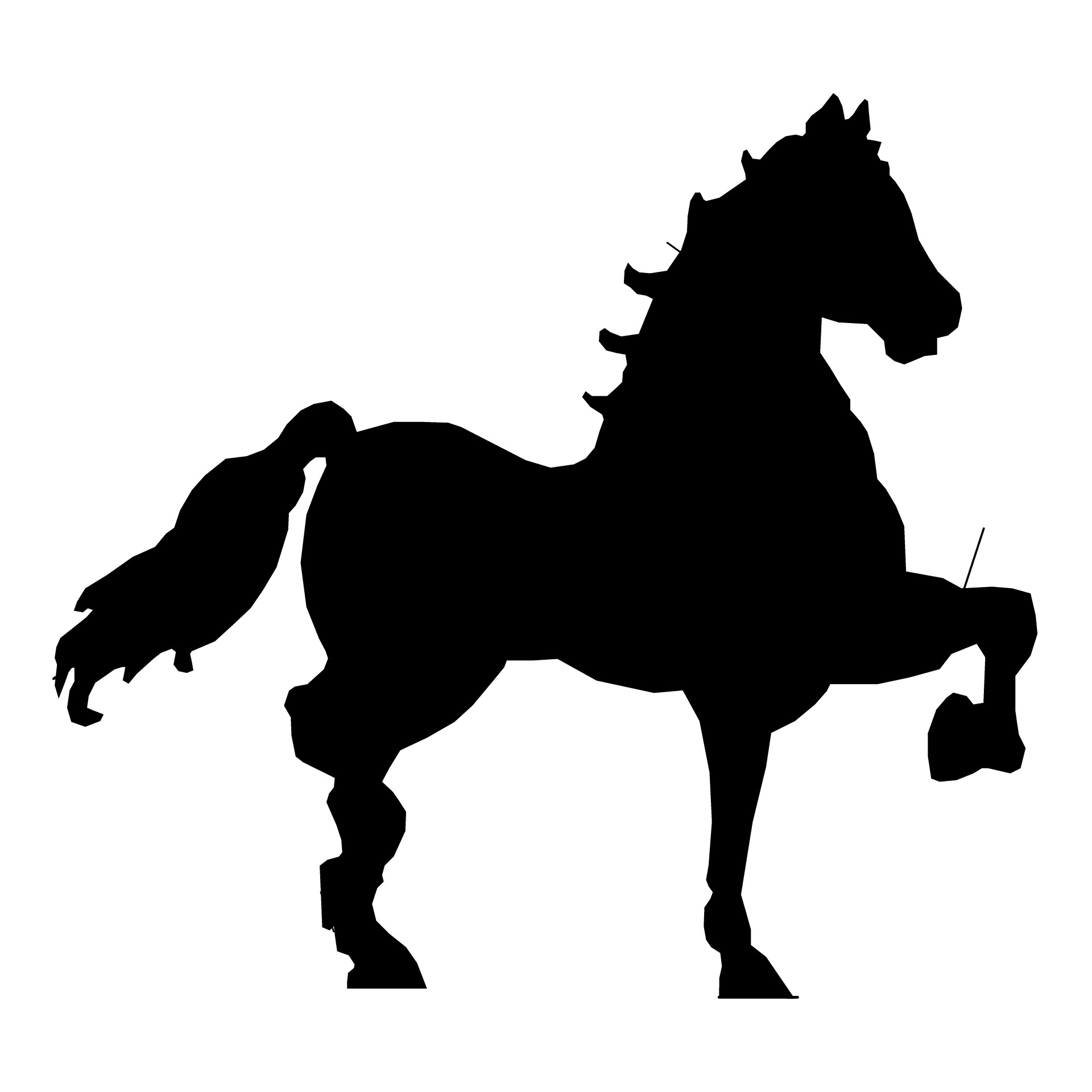 isolated outline horse free photo