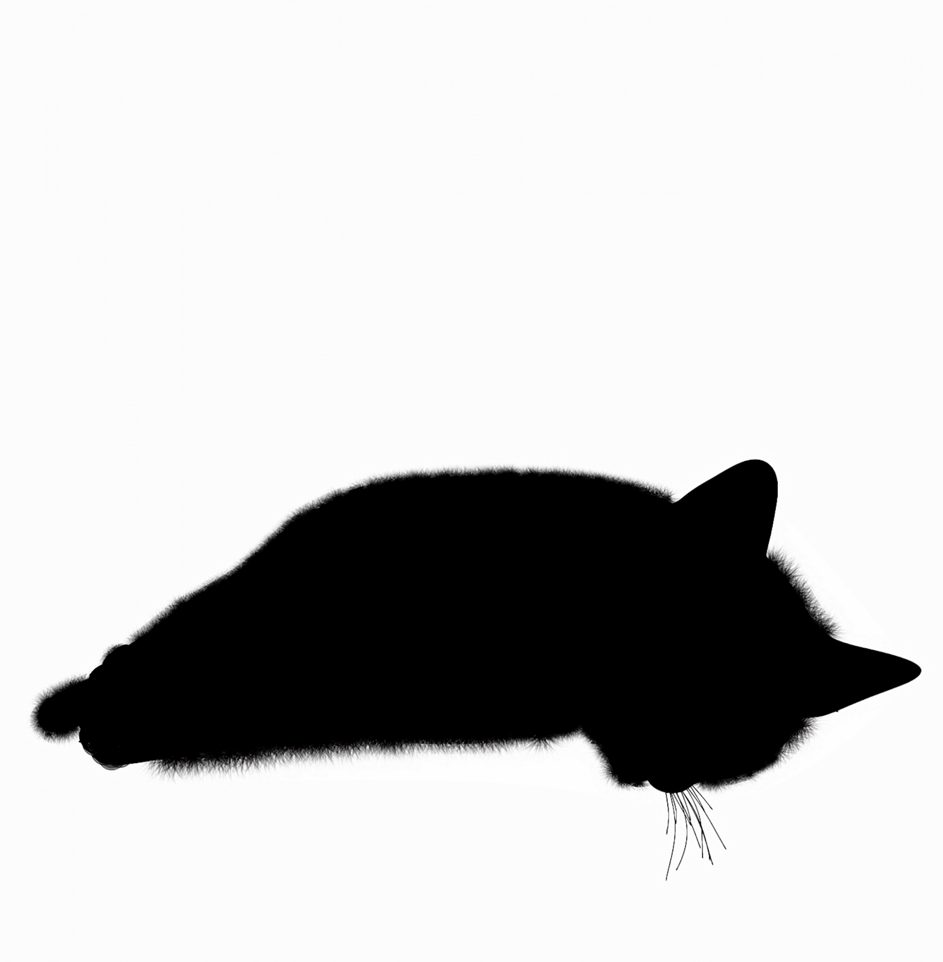 Чёрный силуэт лежачий котик