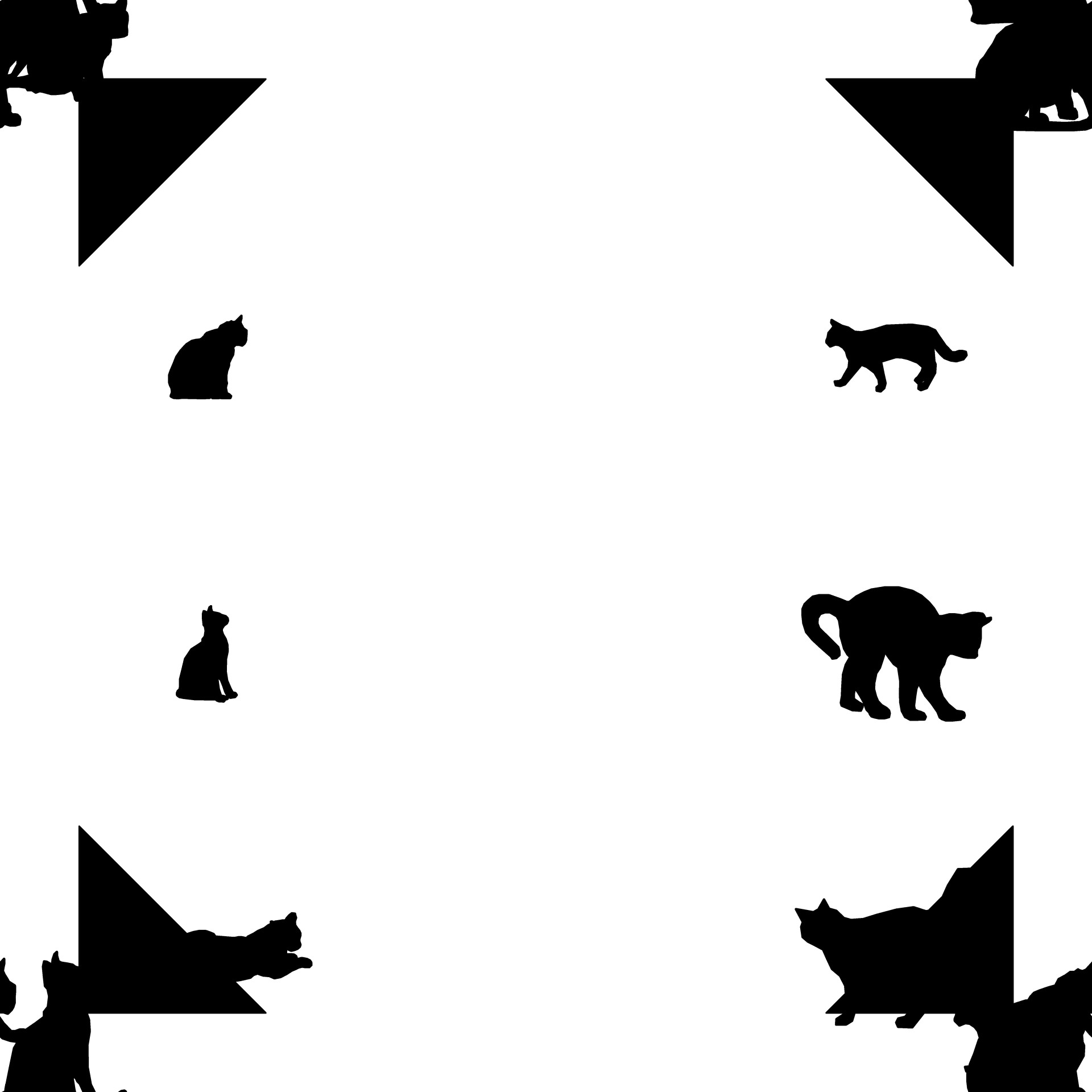 animals silhouette cats free photo