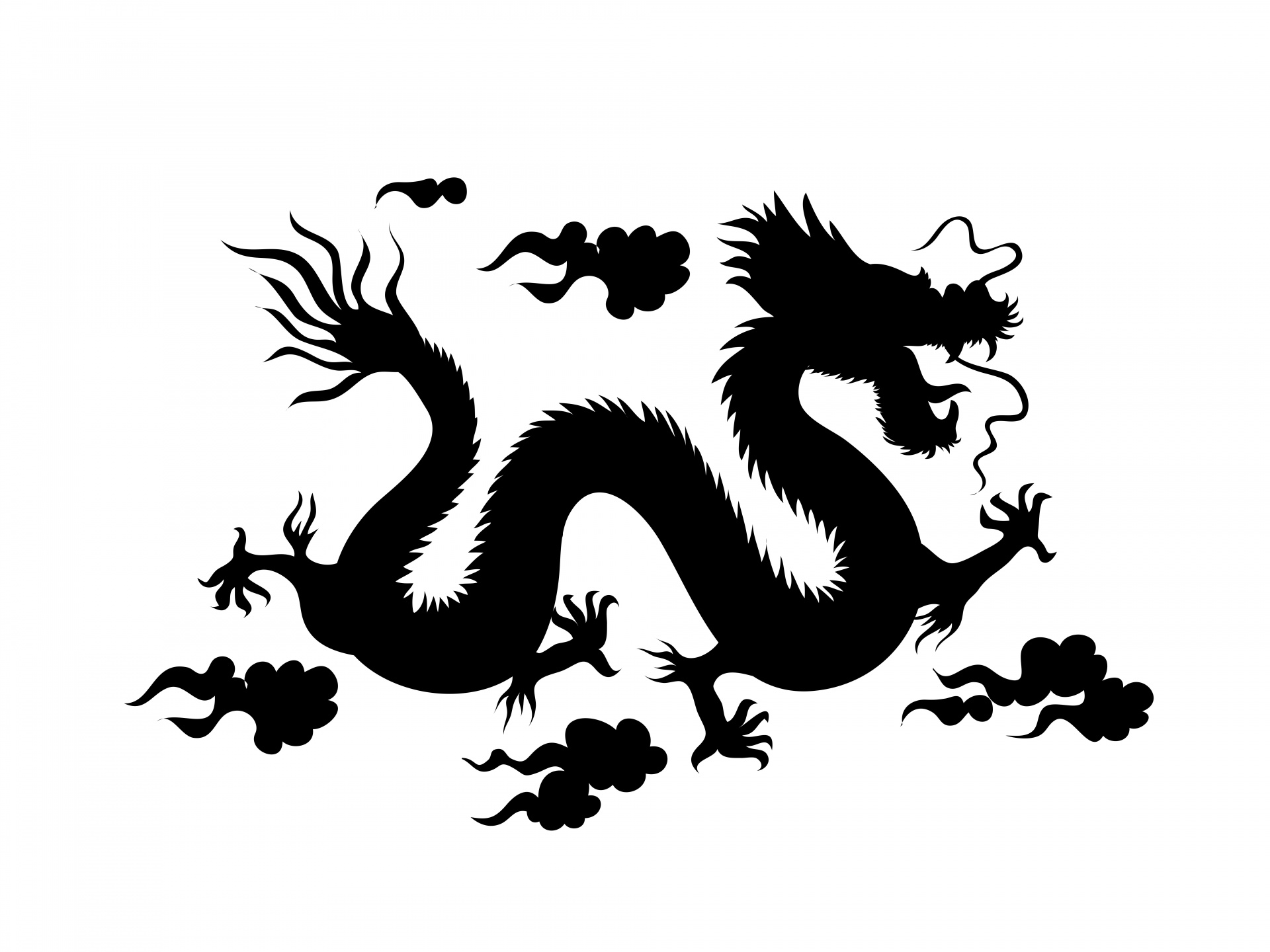 dragon art chinese dragon free photo