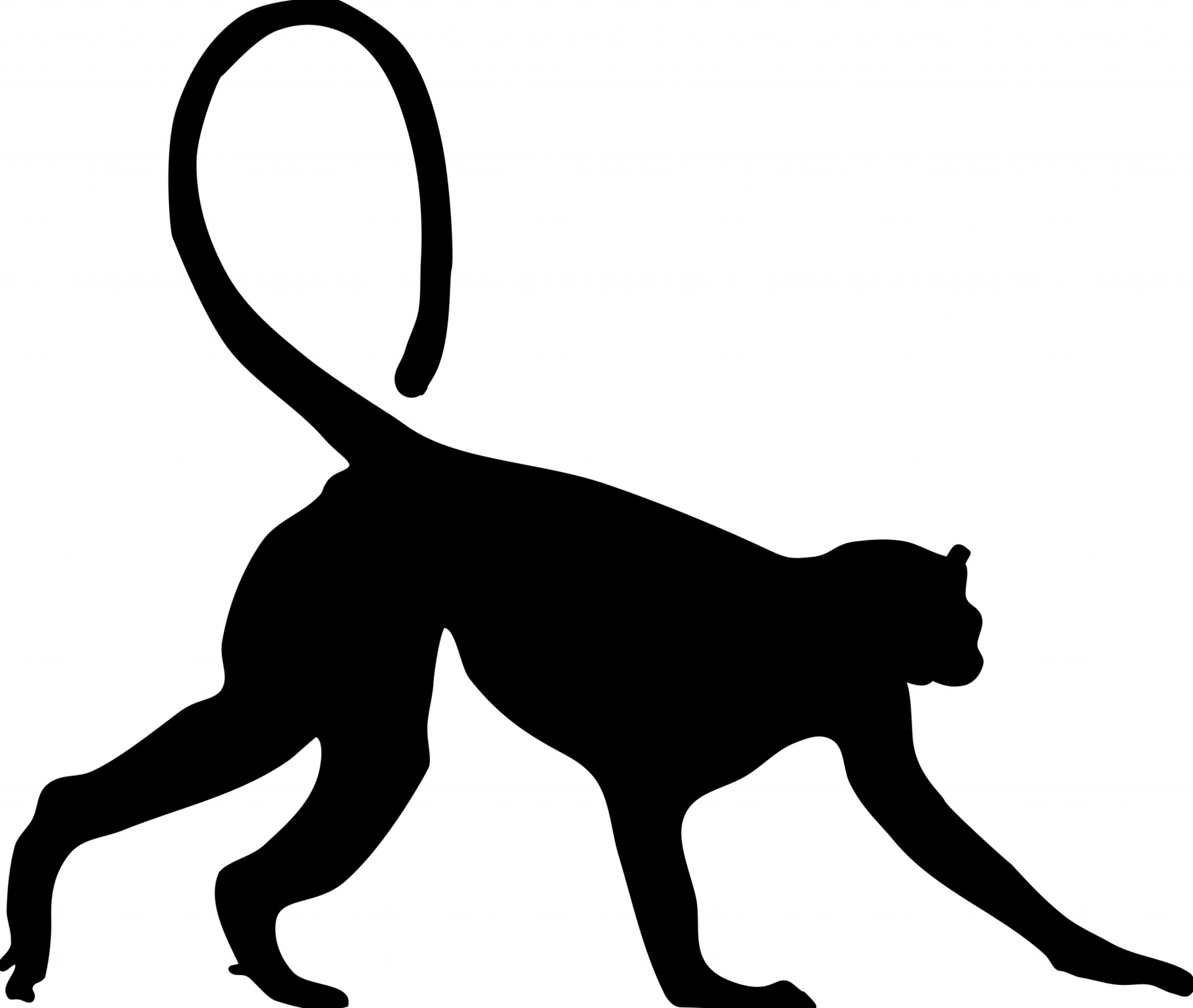 black silhouette monkey free photo