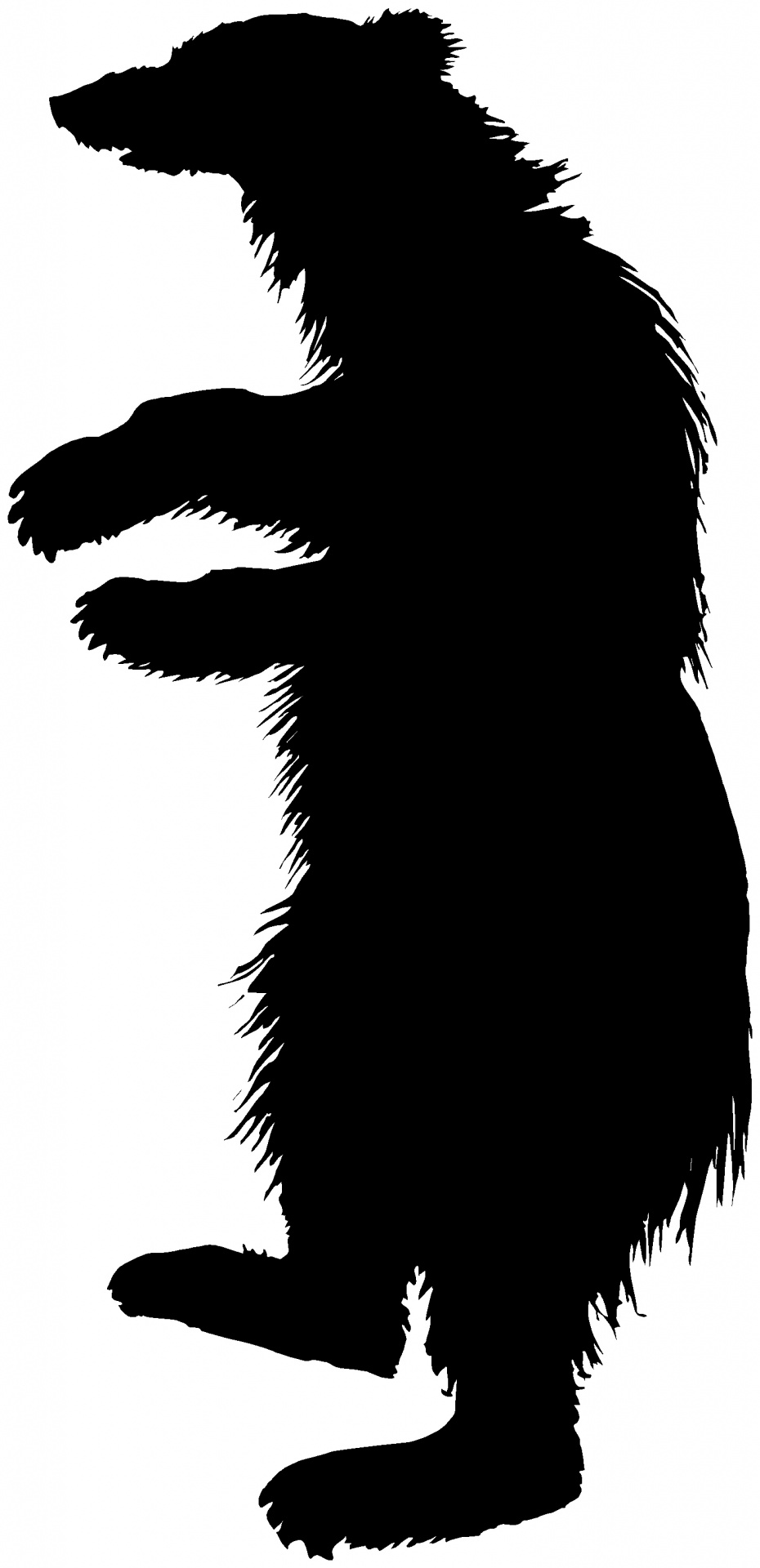 silhouette animal beast free photo