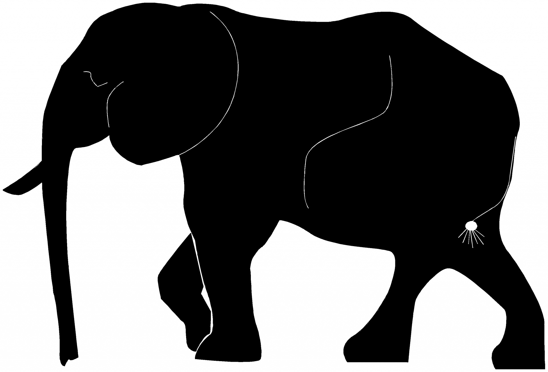 silhouette animal beast free photo