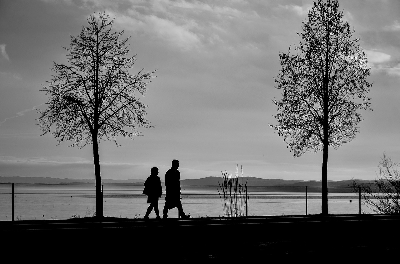 silhouettes tree man free photo