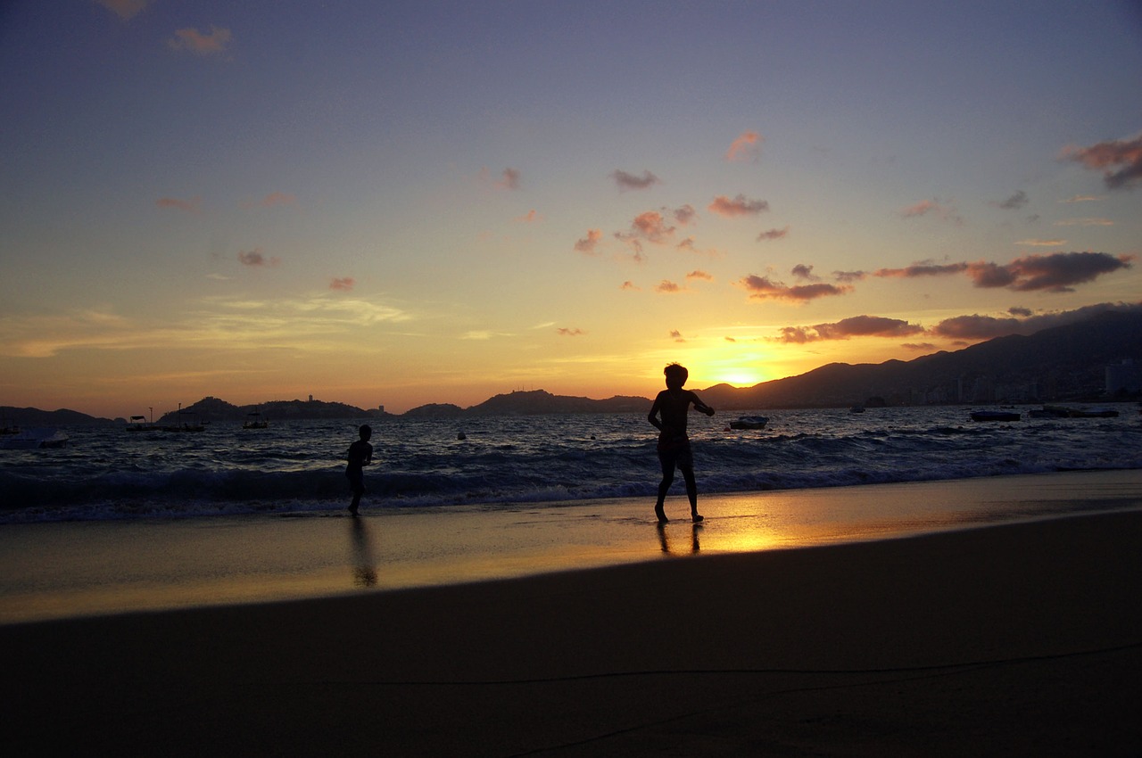 silhouettes sea beach free photo