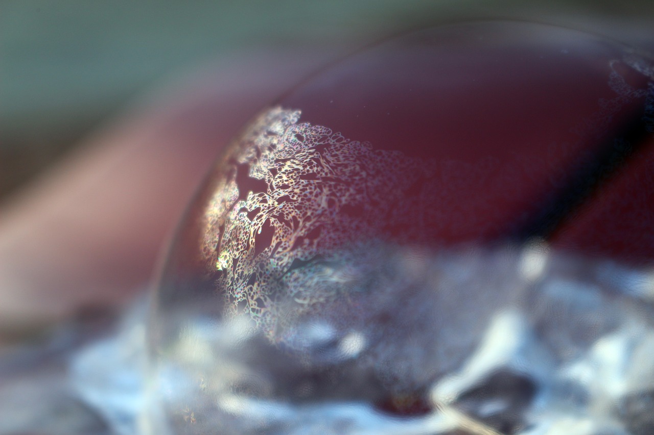 silk bubble ice frozen free photo
