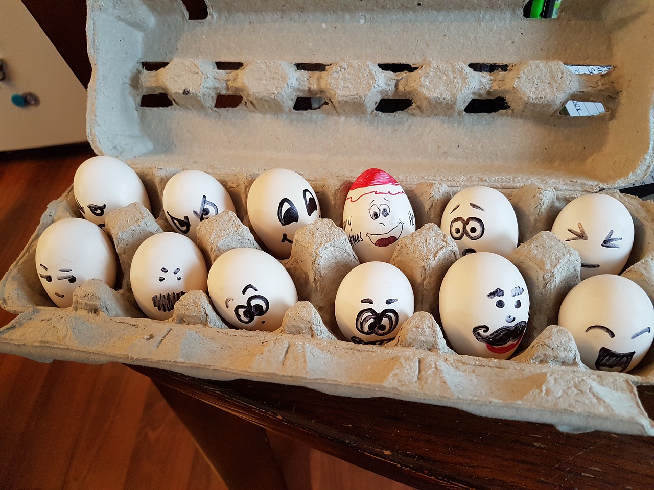 silkie eggs  eggs in carton  eggs with faces free photo