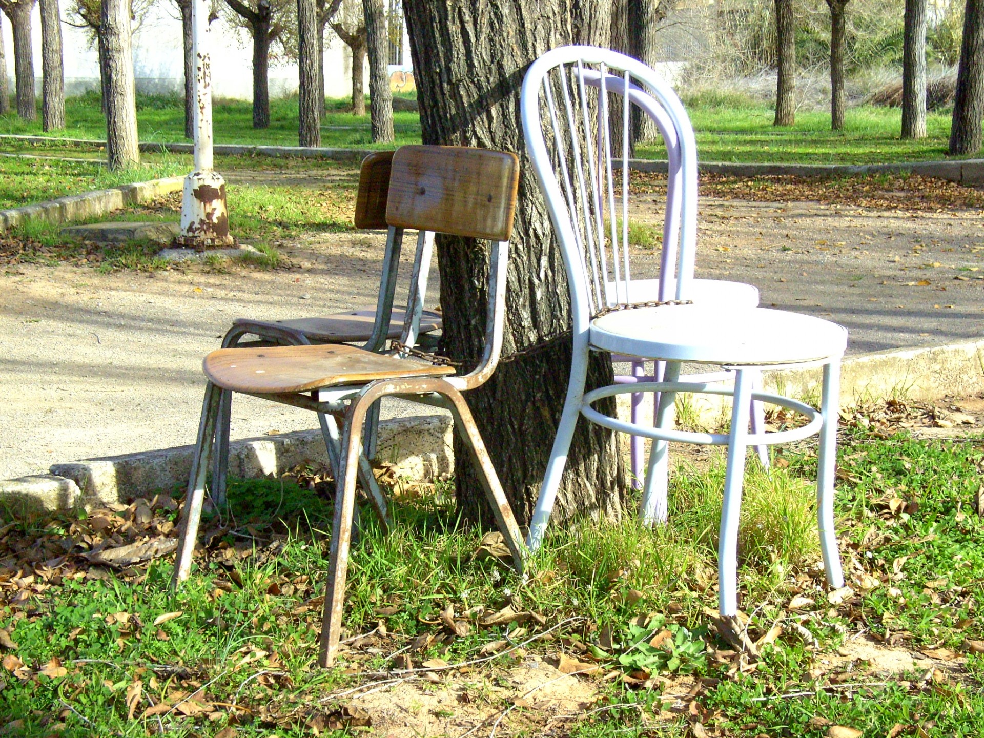 garden chairs chairs free photo