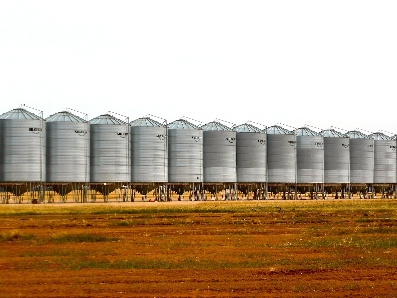 silo wheat storage wheat free photo