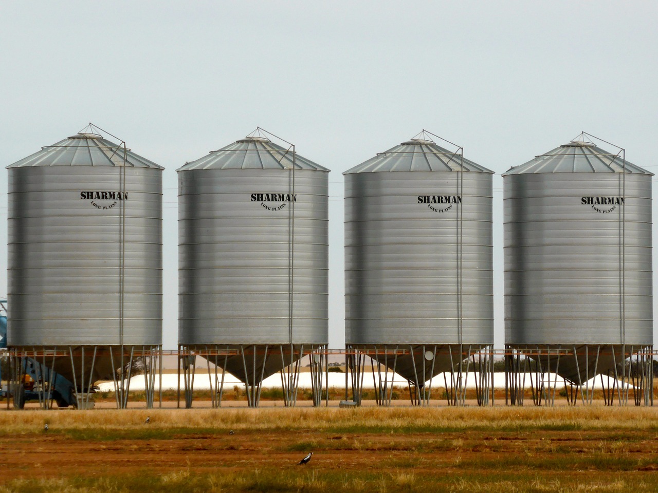 silo wheat storage wheat free photo