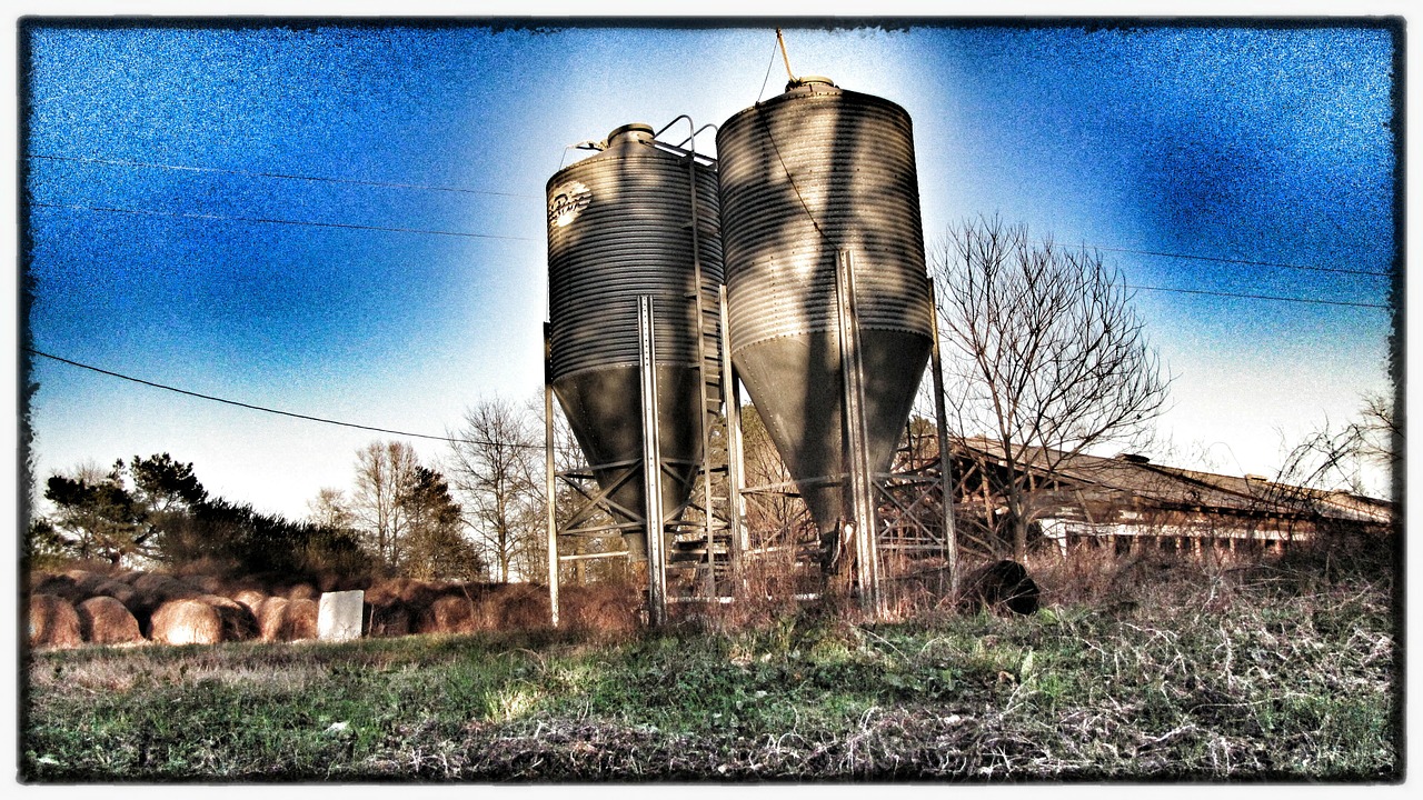 silos,farm,storage,bins,tall,agriculture,farming,rural,framed,free pictures, free photos, free images, royalty free, free illustrations, public domain