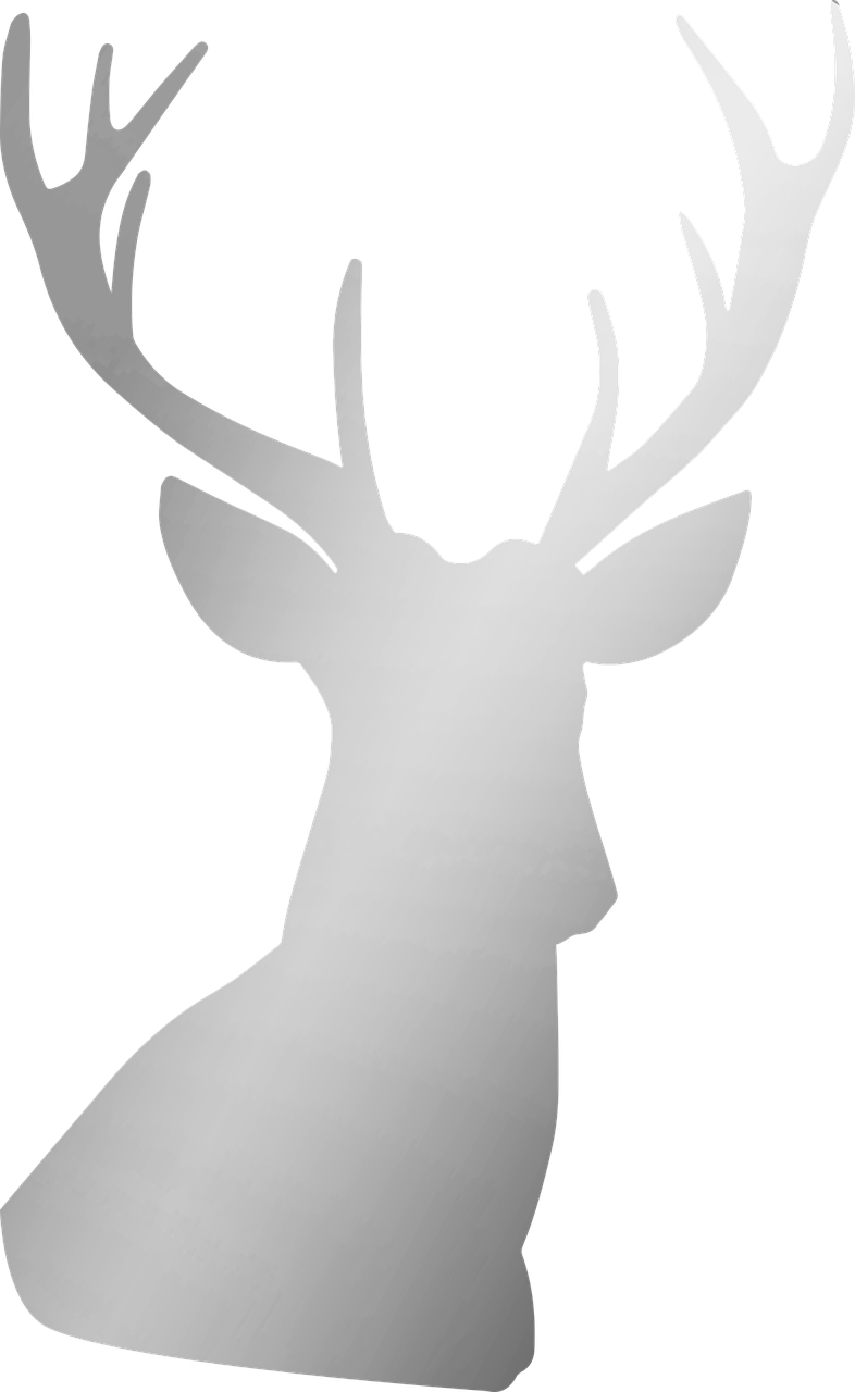 silver deer antler free photo