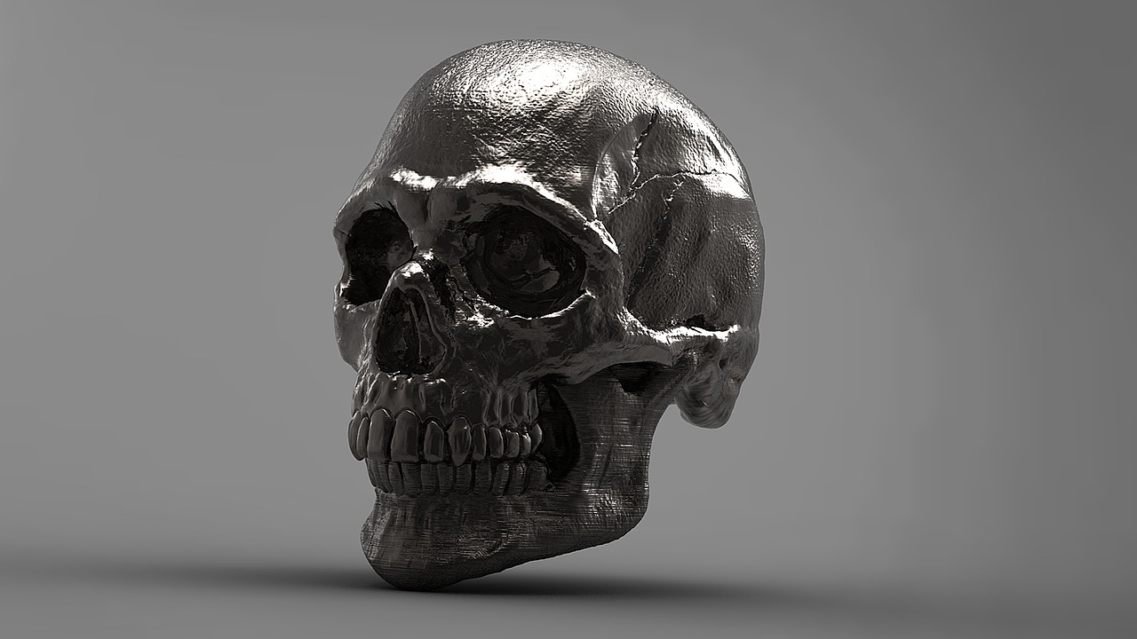 silver skull 3d free photo