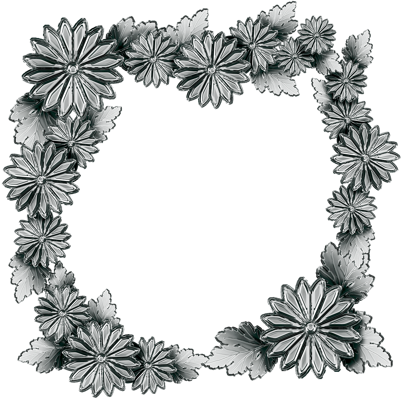 silver the frame chrysanthemum flowers free photo