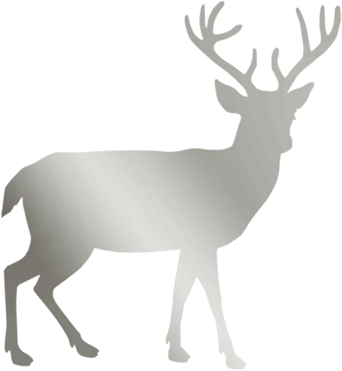 silver stag deer free photo