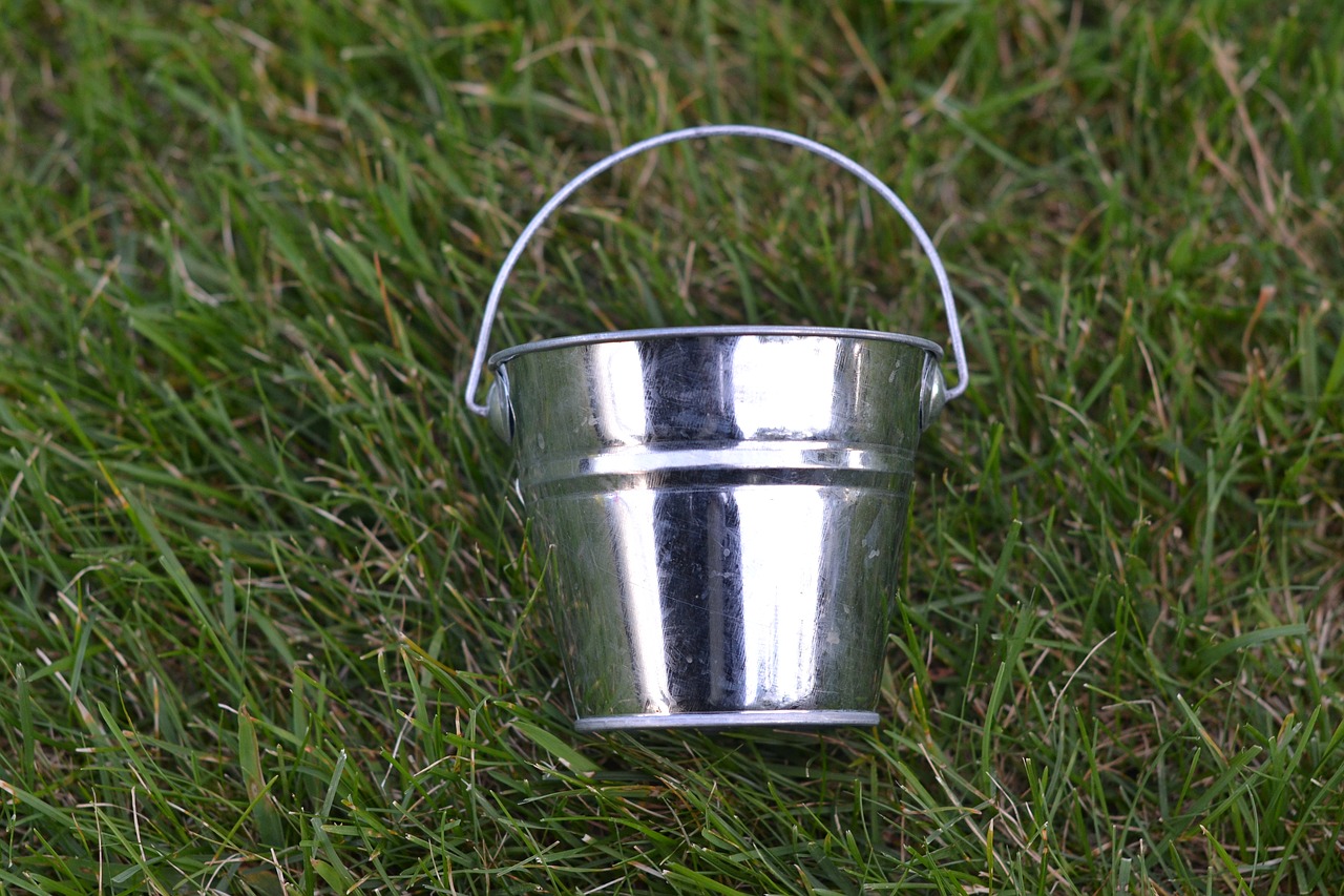 silver bucket  grass  bucket free photo