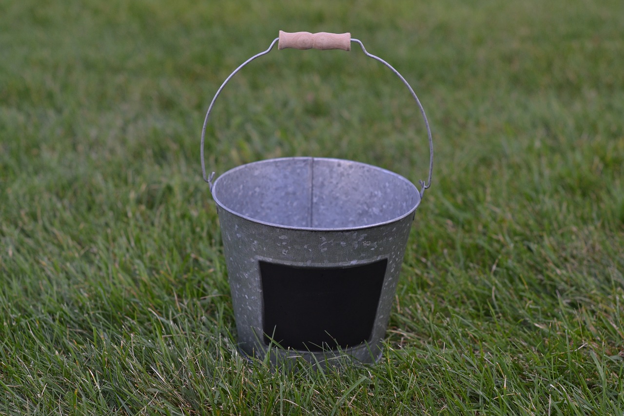 silver bucket  grass  bucket free photo
