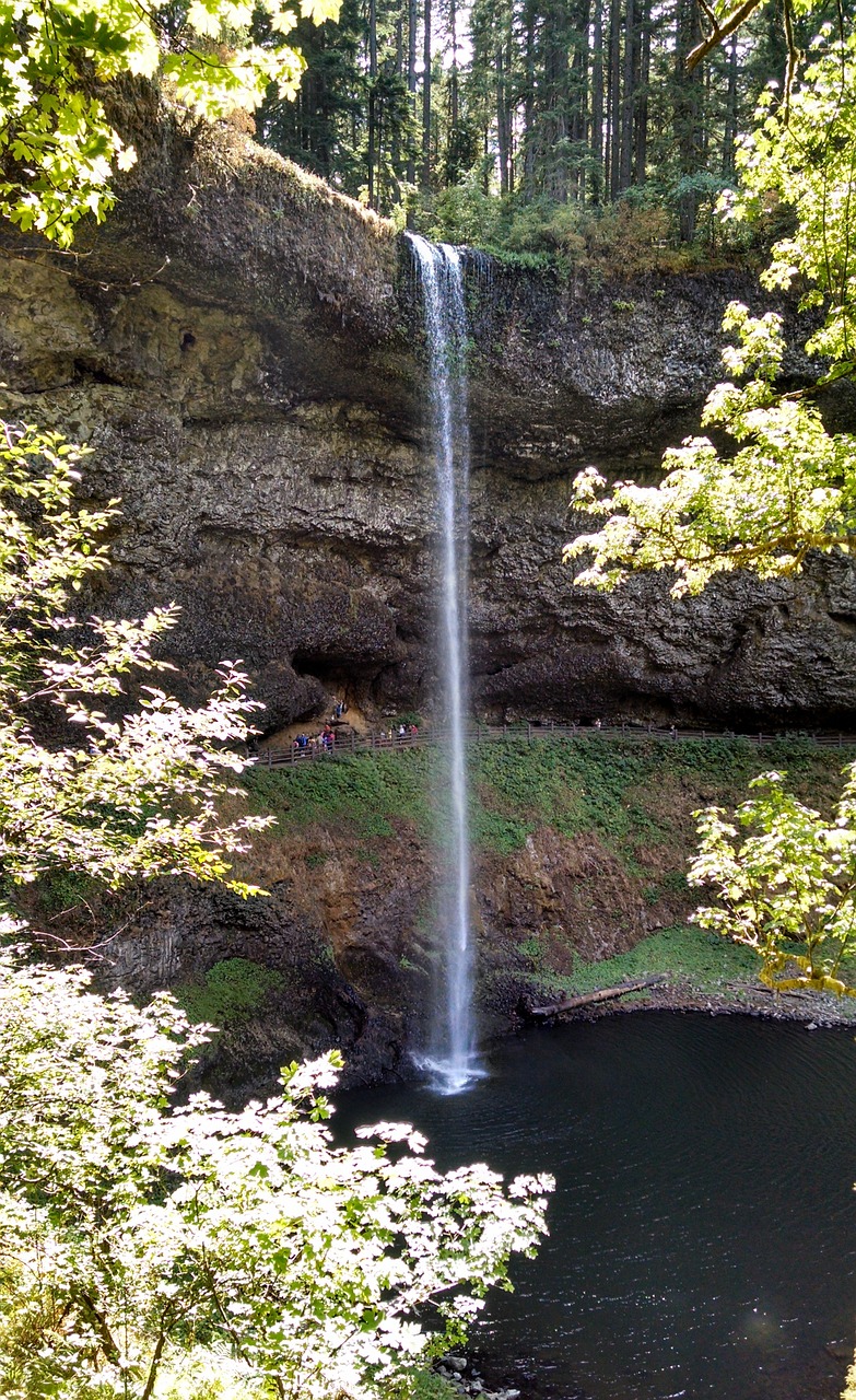 silver creek falls oregon waterfall free photo