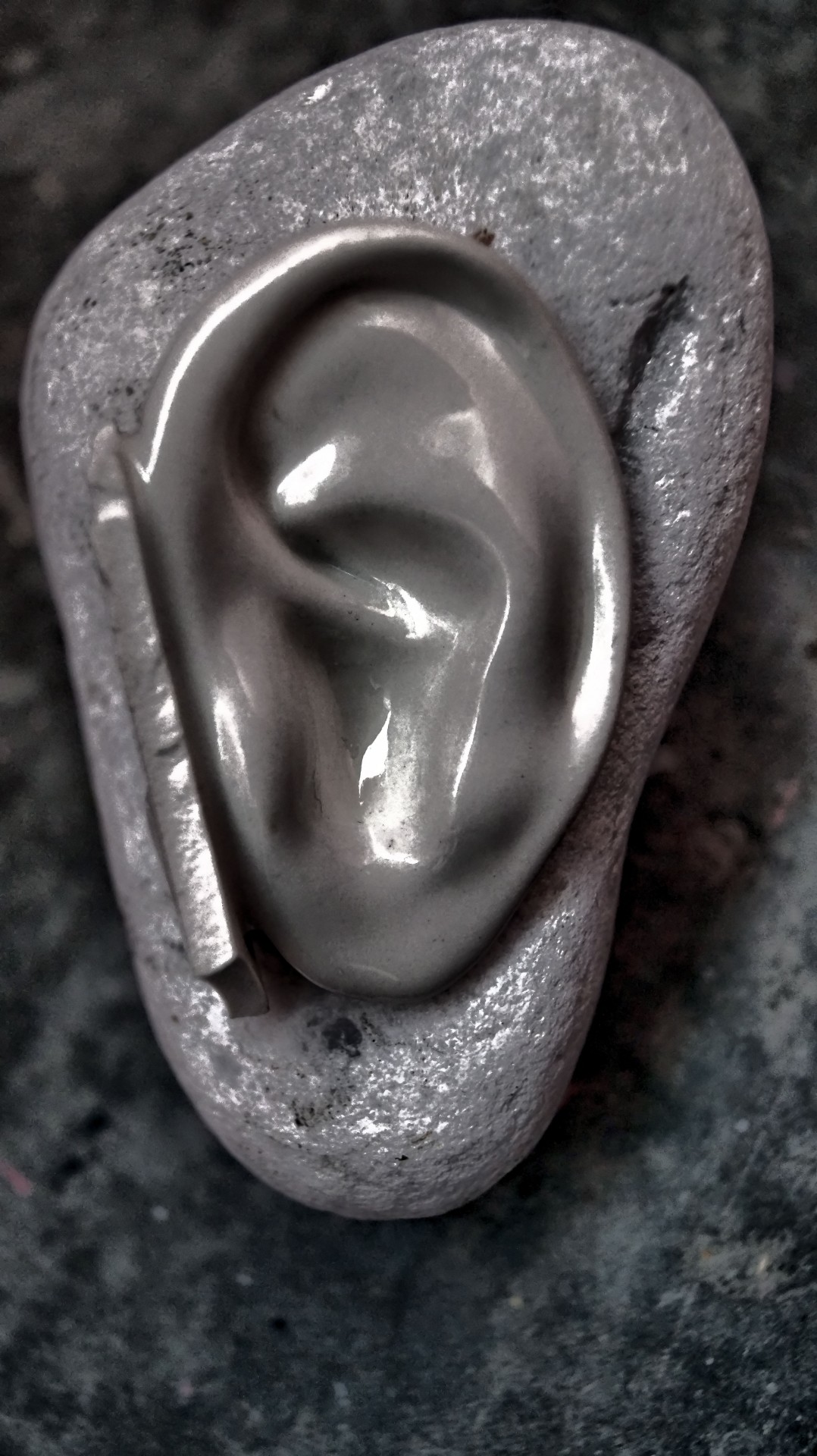 ear postprocessing photo free photo