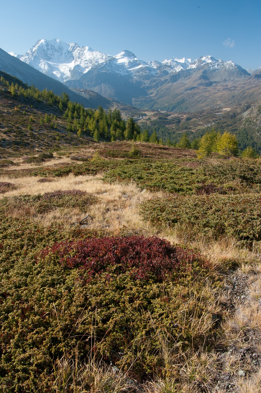 simplon valais switzerland free photo