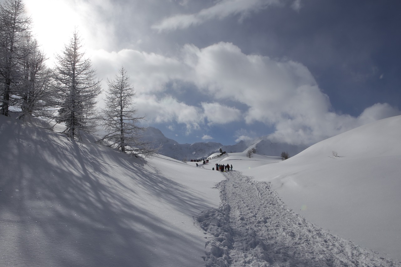 simplon  snow  winter free photo