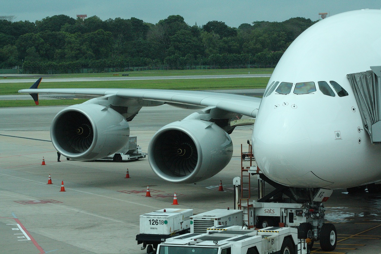 singapore airport aircraft free photo