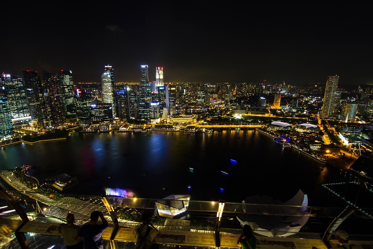 singapore night view marina bay free photo