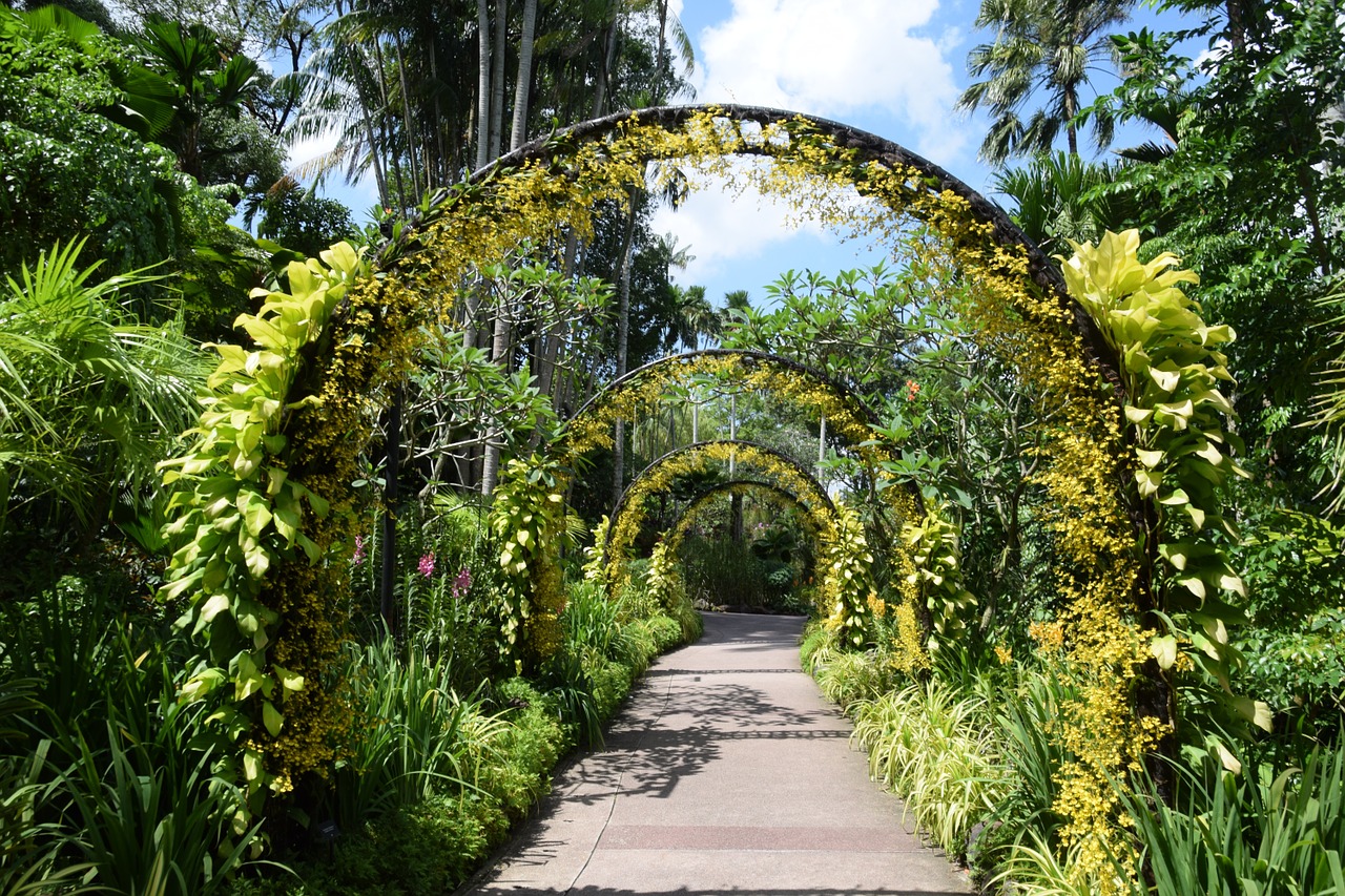 singapore botanical garden orchard flower arch free photo