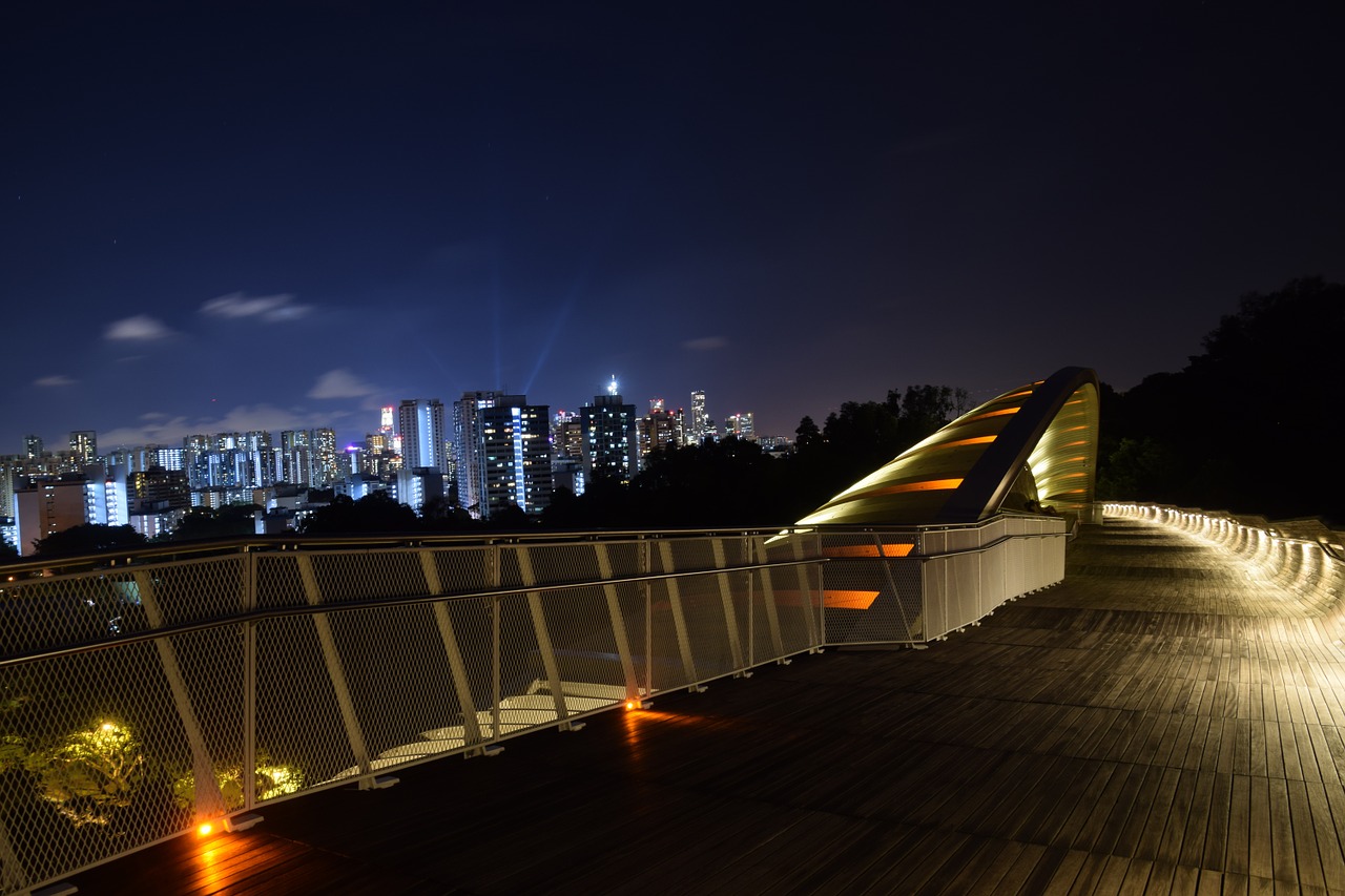 singapore henderson wave bridge architecture free photo