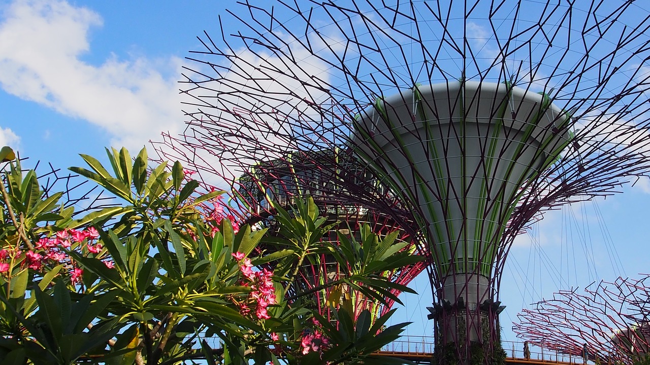 singapore marina bay botanic gardens free photo