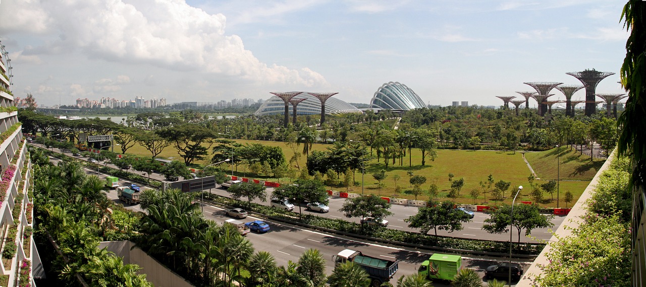singapore gardens by the bay botanical free photo