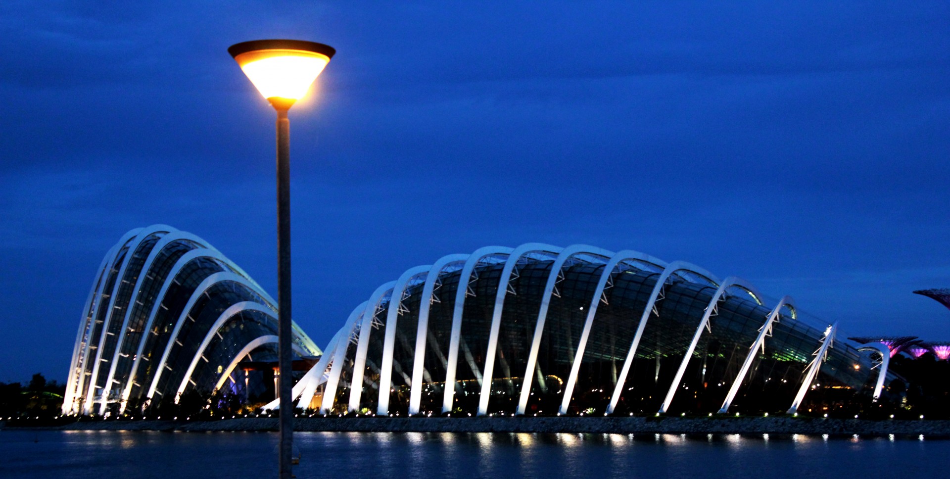 singapore architecture lights free photo
