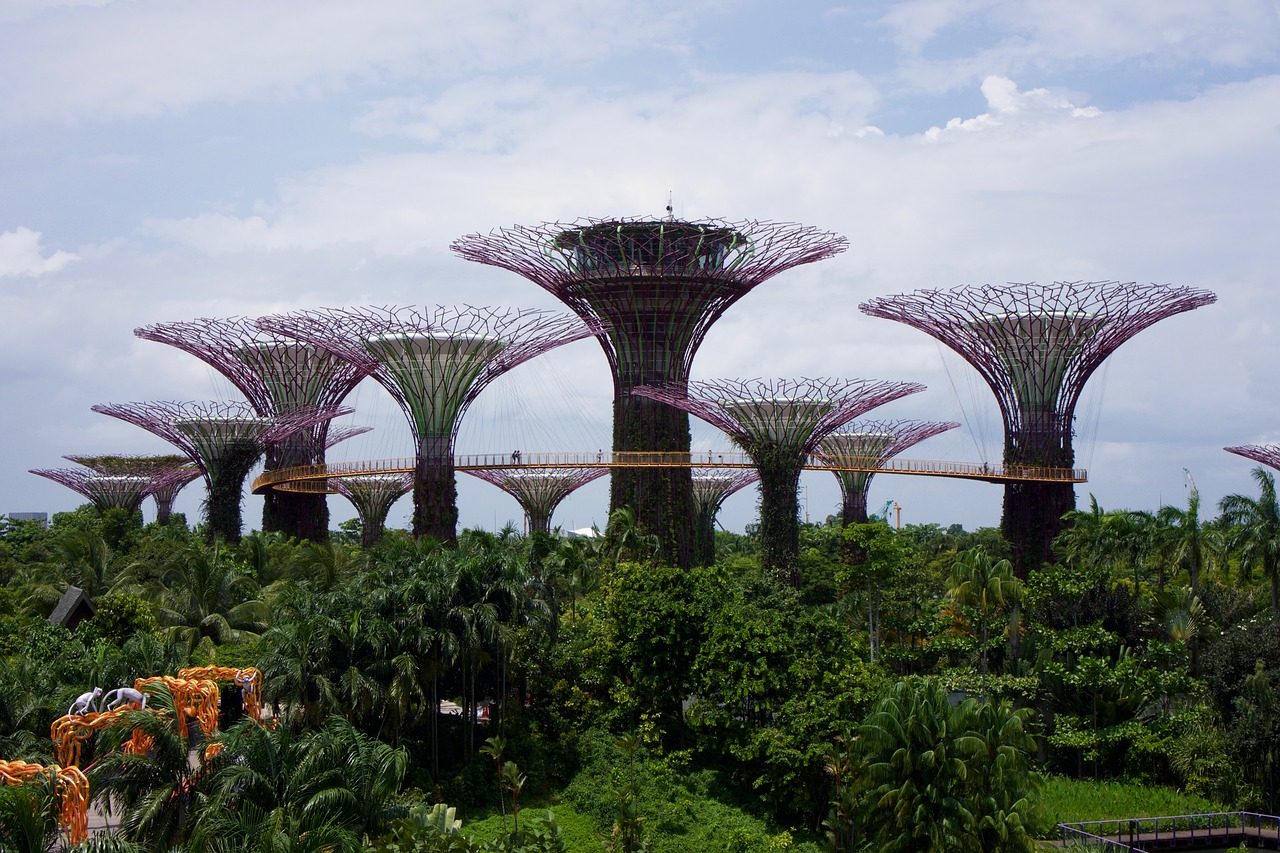 singapore gardens trees free photo