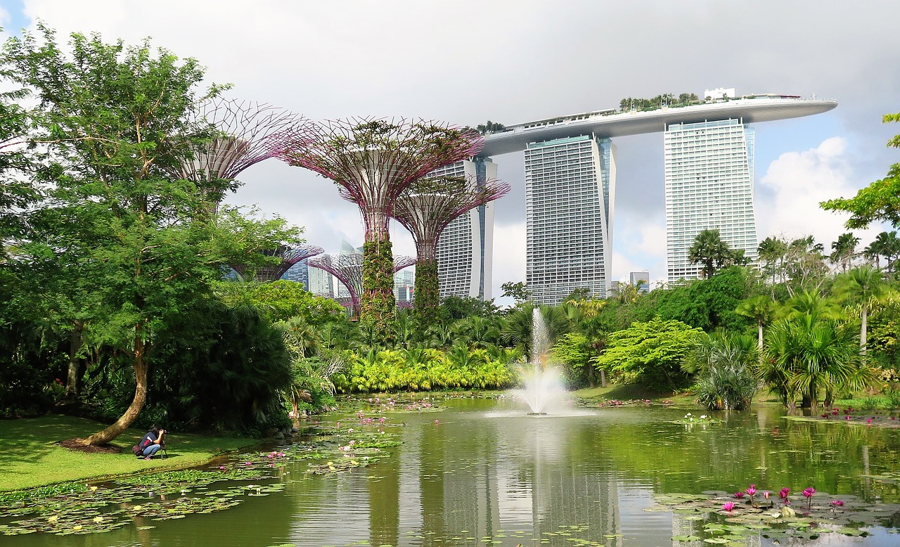 singapore super trees marina bay sands free photo