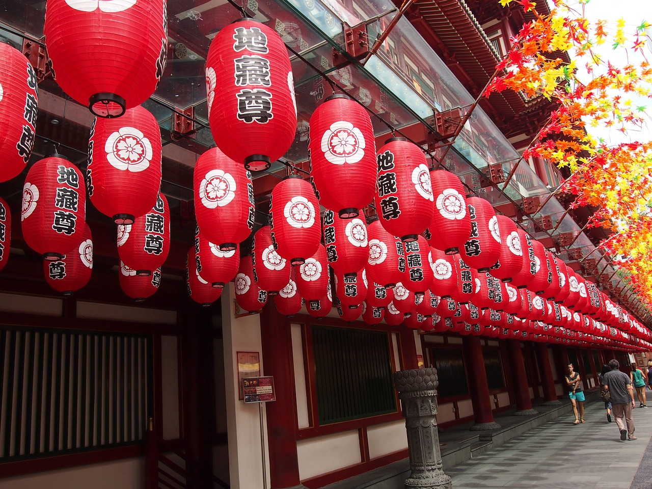 singapore paper lantern edo free photo