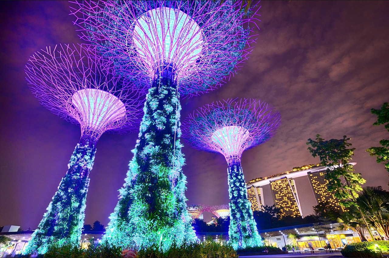 singapore gardens by the bay long exposure free photo