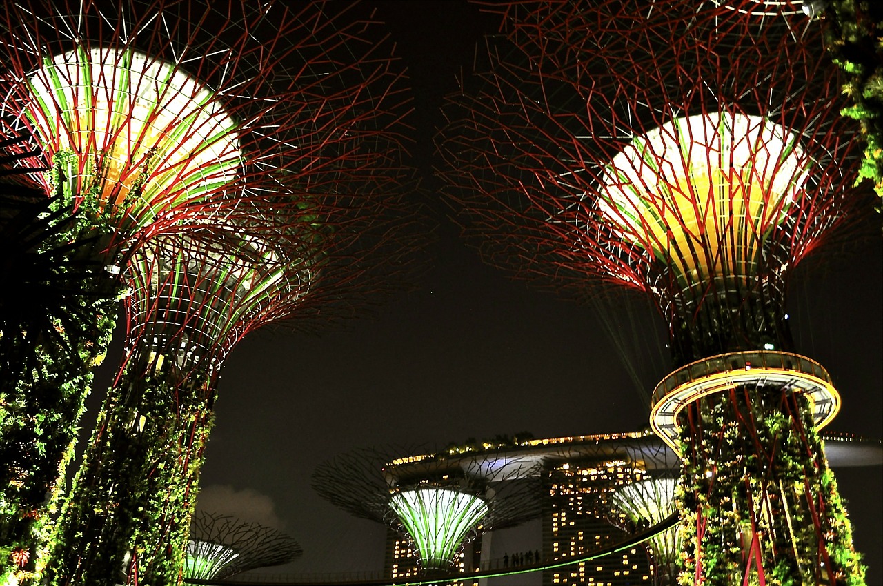 singapore nights lights free photo
