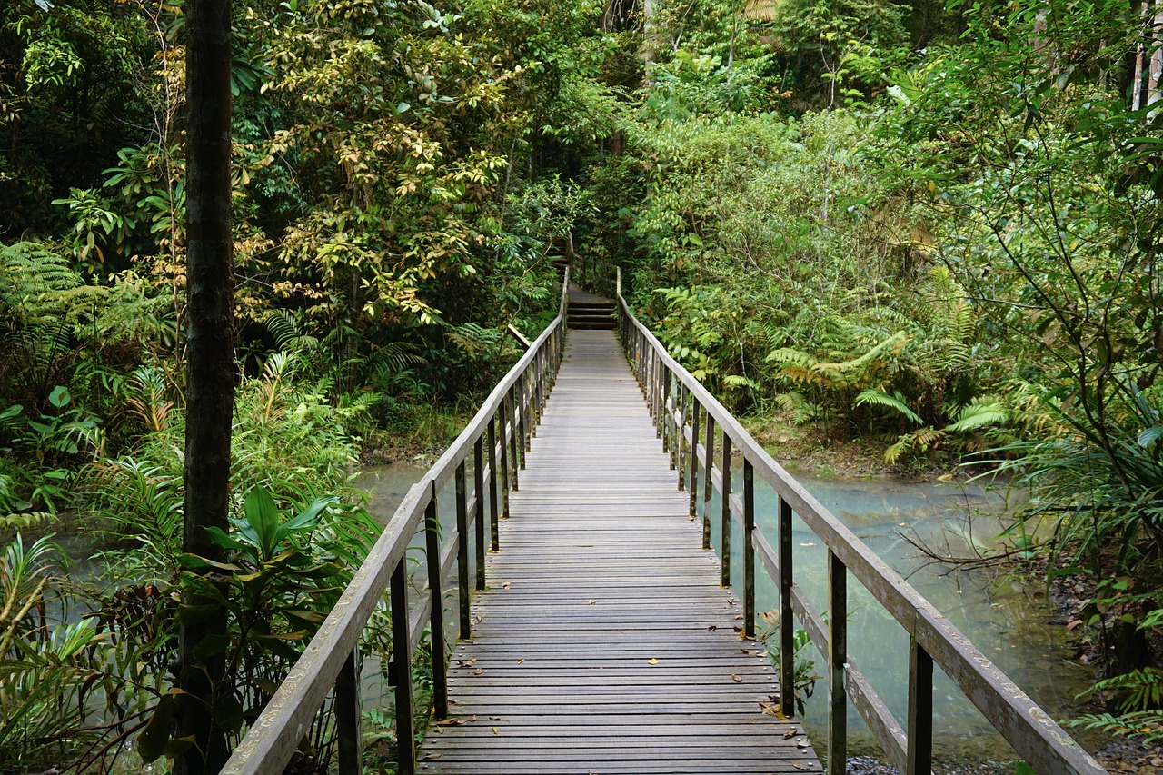 singapore bridge hike free photo