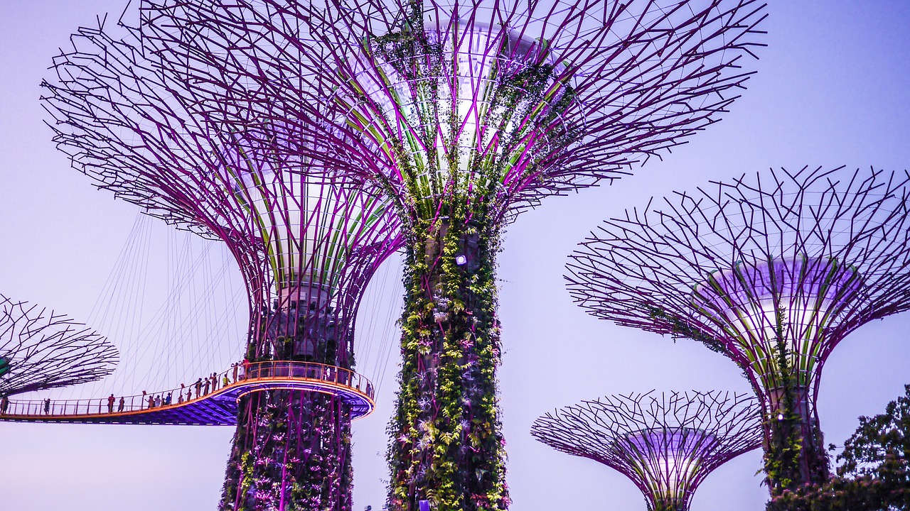 singapore gardens by the bay supertrees free photo