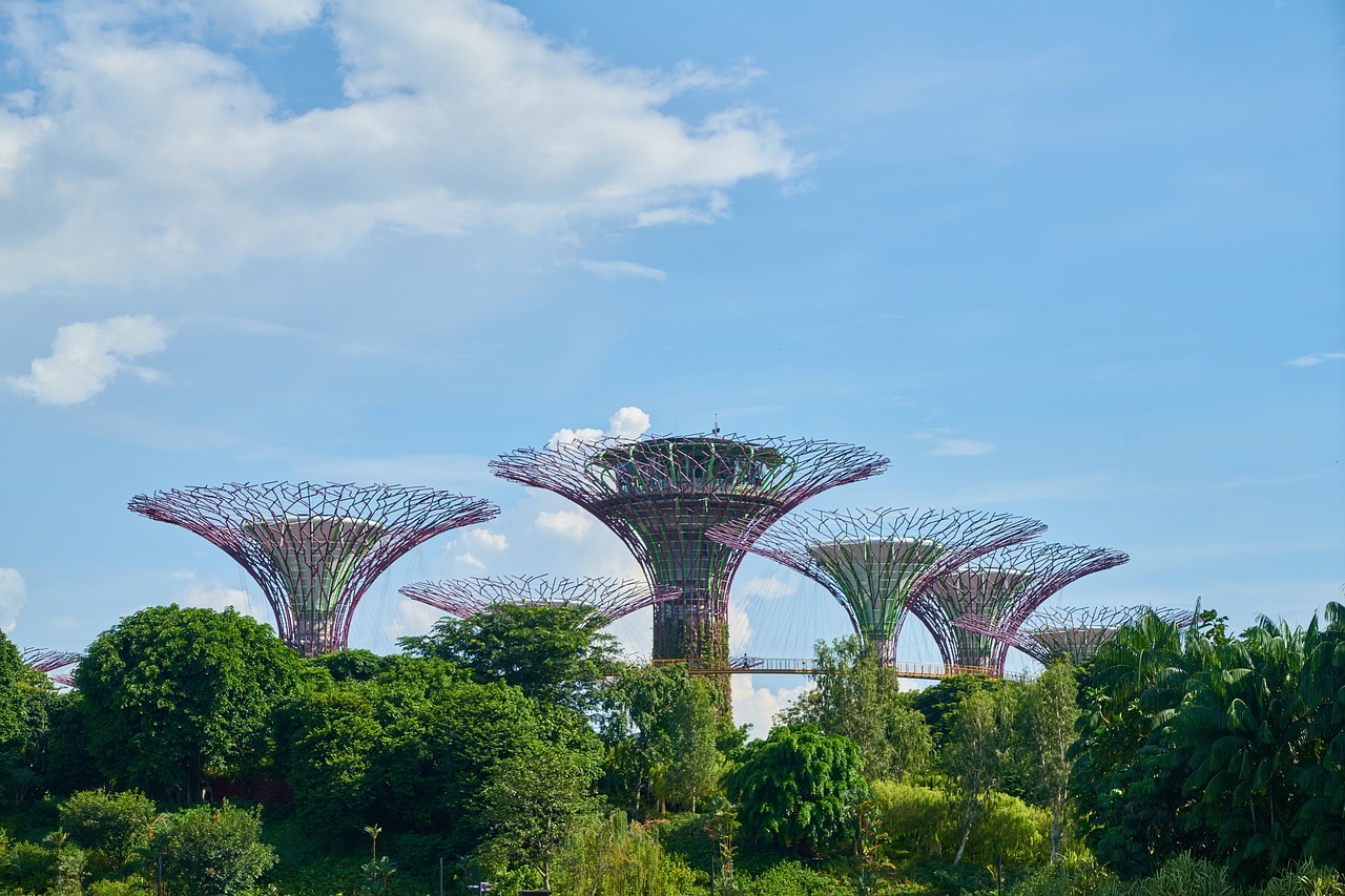 singapore asian park free photo