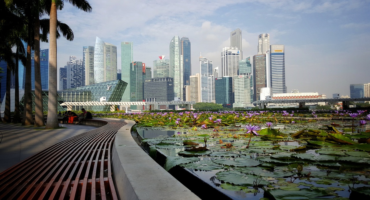 singapore city buildings free photo