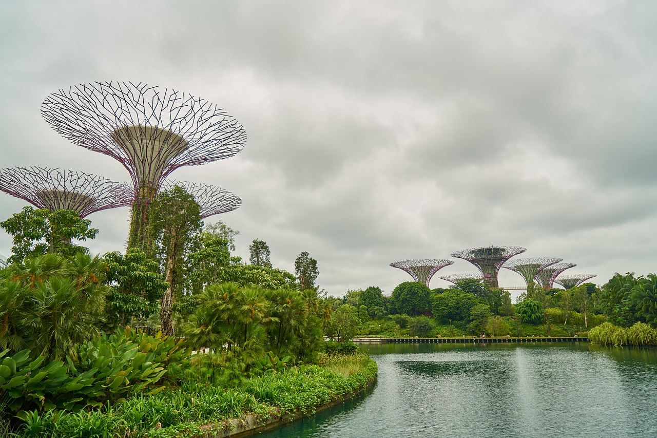 singapore nature park free photo