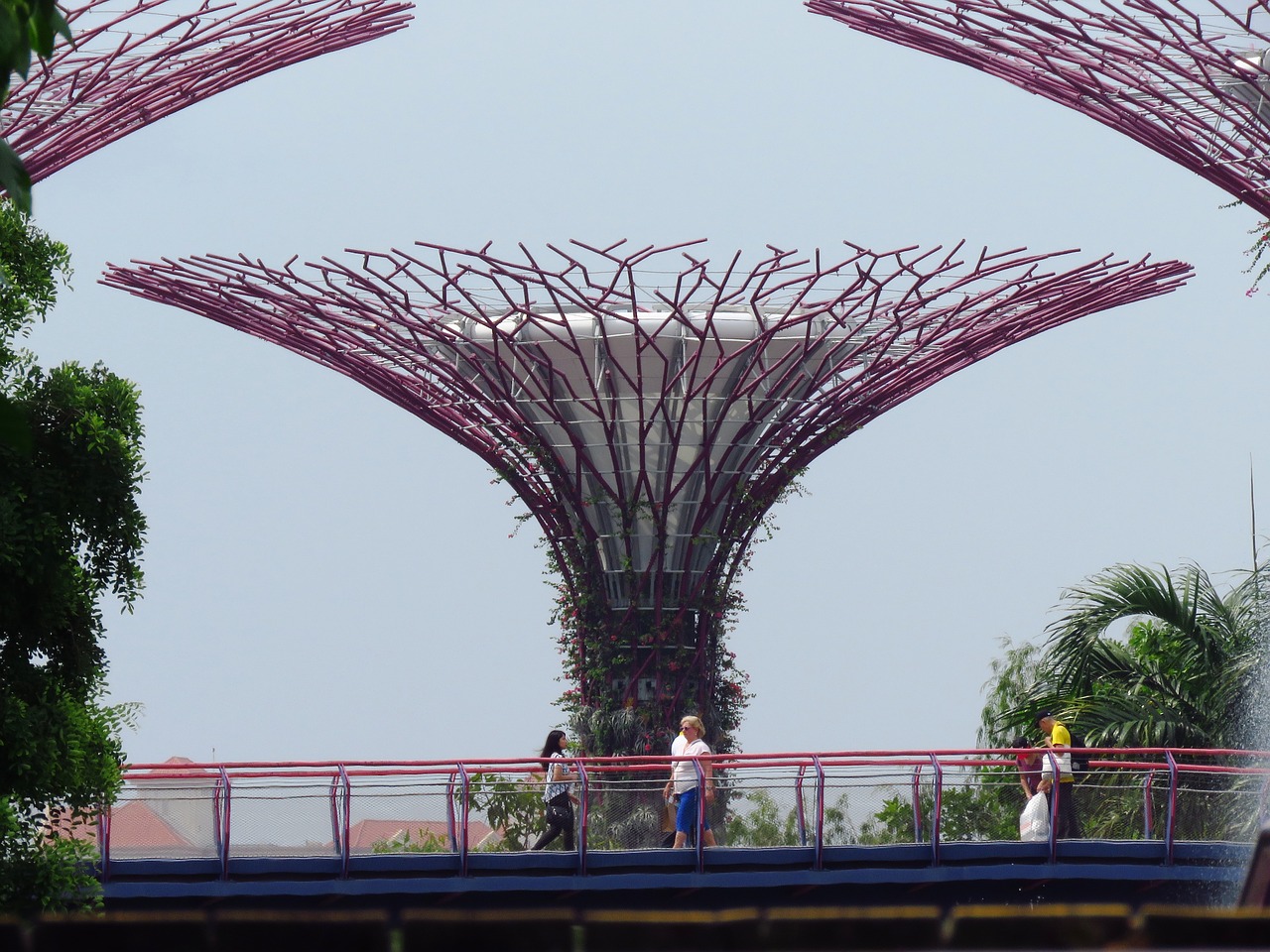 singapore garden by the bay marina free photo