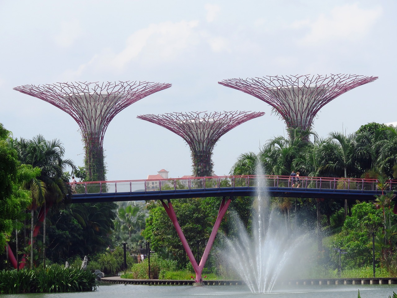 singapore garden by the bay marina free photo