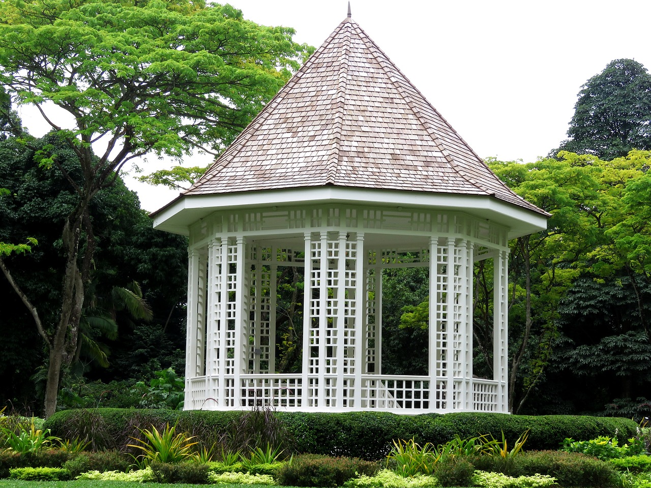 singapore botanic garden free photo