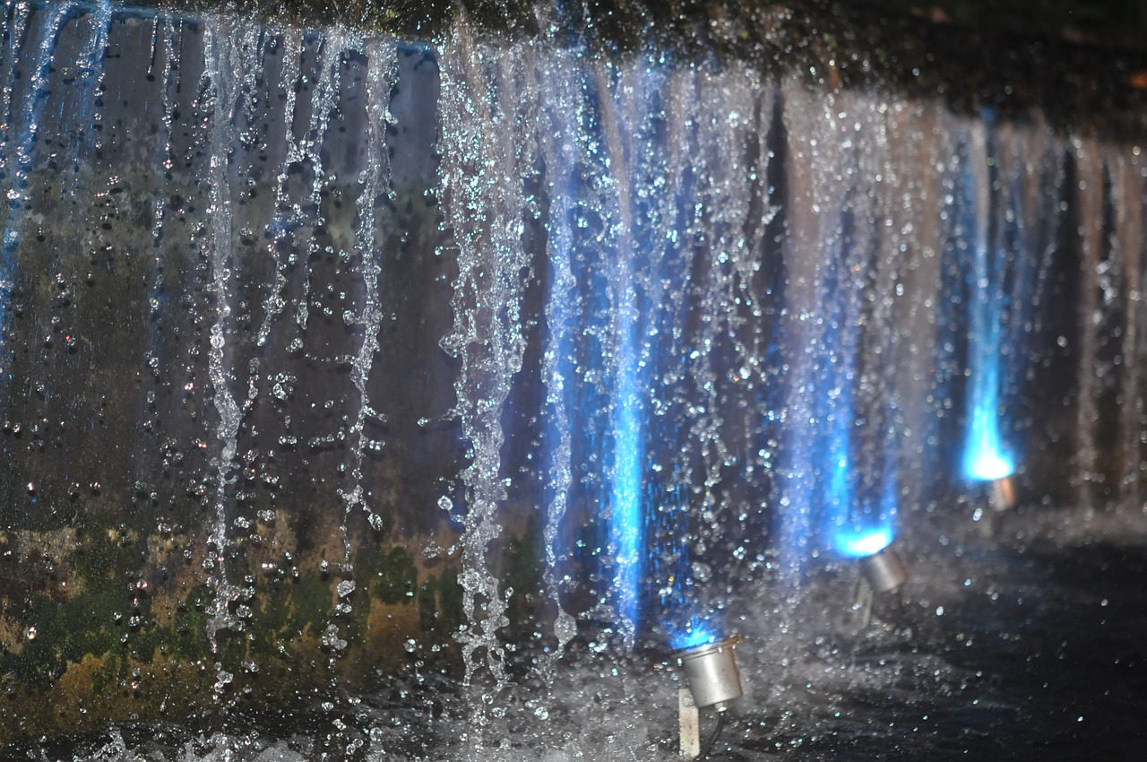 singapore botanic garden water glitter free photo