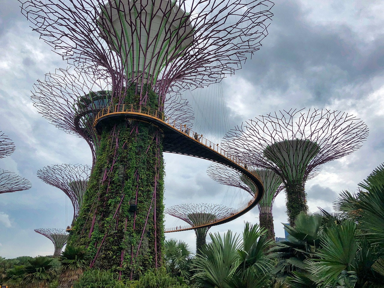 singapore gardens by the bay tree free photo