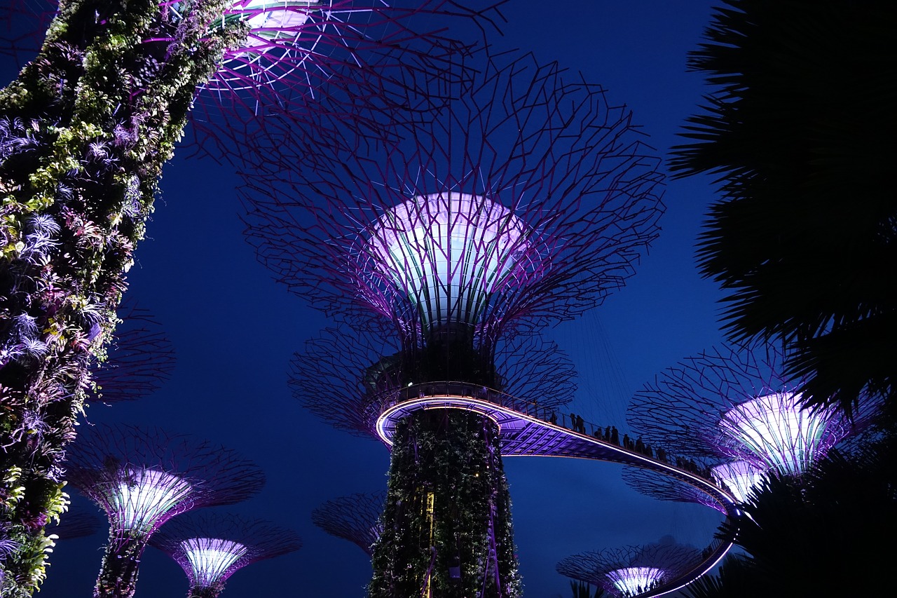 singapore supertree grove background free photo