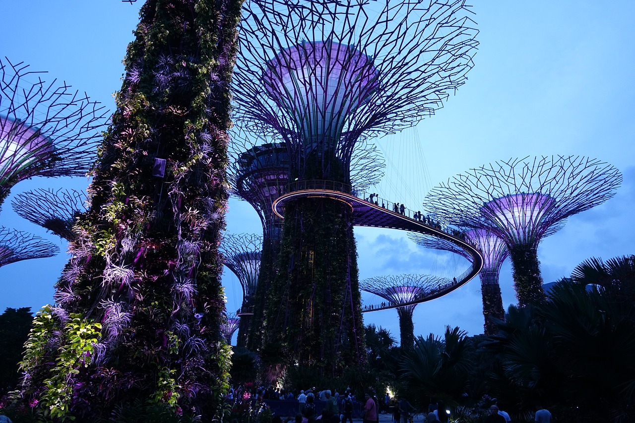 singapore supertree grove nature free photo